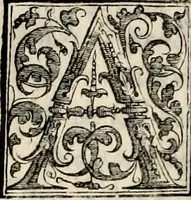 An illustration from Theatrvm temporanevm æternitati Cæsaris Montii, S.R.E. cardinalis et archiep. mediolanen. sacrvm (1635)