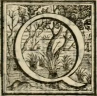 An illustration from Theatrvm temporanevm æternitati Cæsaris Montii, S.R.E. cardinalis et archiep. mediolanen. sacrvm (1635)