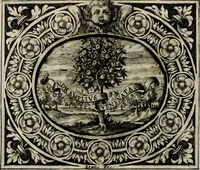 An illustration from Theatrvm temporanevm æternitati Cæsaris Montii, S.R.E. cardinalis et archiep. mediolanen. sacrvm (1635)