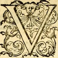 An illustration from Theatrvm Vitae Humanae (1596)