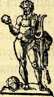 Picture 110 of 110 from Theatrvm Vitae Humanae (1596), leaf 285