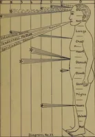 Picture 35 of 49 from "The law and the prophets." A scientific work on the relationship between physical bodies, vegetable, animal, human and planetary .. (1893), leaf 164