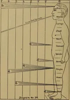 An illustration from "The law and the prophets." A scientific work on the relationship between physical bodies, vegetable, animal, human and planetary .. (1893)