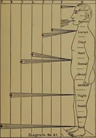 Picture 39 of 49 from "The law and the prophets." A scientific work on the relationship between physical bodies, vegetable, animal, human and planetary .. (1893), leaf 170