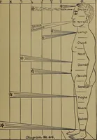 An illustration from "The law and the prophets." A scientific work on the relationship between physical bodies, vegetable, animal, human and planetary .. (1893)