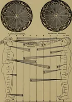 An illustration from "The law and the prophets." A scientific work on the relationship between physical bodies, vegetable, animal, human and planetary .. (1893)