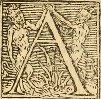 An illustration from [The New Testament of Iesus Christ : faithfully translated into English ... in the English College of Rhemes] (1582)