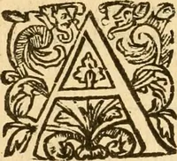 An illustration from [The New Testament of Iesus Christ : faithfully translated into English ... in the English College of Rhemes] (1582)
