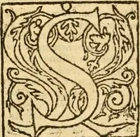 An illustration from [The New Testament of Iesus Christ : faithfully translated into English ... in the English College of Rhemes] (1582)