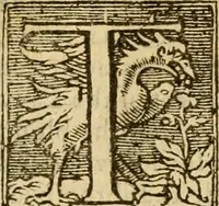 An illustration from [The New Testament of Iesus Christ : faithfully translated into English ... in the English College of Rhemes] (1582)