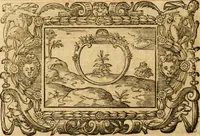 Picture 37 of 71 from Theodori Bezae Vezelii Poemata varia : sylvae, elegiae, epitaphia, epigrammata, icones, emblemata, Cato Censorius : omnia ab ipso auctore in vnum nunc corpus collecta & recognita (1597), leaf 269