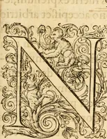 Picture 66 of 71 from Theodori Bezae Vezelii Poemata varia : sylvae, elegiae, epitaphia, epigrammata, icones, emblemata, Cato Censorius : omnia ab ipso auctore in vnum nunc corpus collecta & recognita (1597), leaf 312