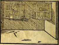 An illustration from Theodori Bezæ Vezelii Poëmata varia ... (1599)