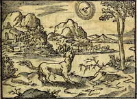 Picture 26 of 55 from Theodori Bezæ Vezelii Poëmata varia ... (1599), leaf 298