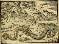Picture 33 of 55 from Theodori Bezæ Vezelii Poëmata varia ... (1599), leaf 306