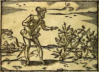 Picture 34 of 55 from Theodori Bezæ Vezelii Poëmata varia ... (1599), leaf 307