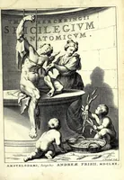 Picture 2 of 23 from Theodori Kerckringii doctoris medici spicilegium anatomicum : continens observationum anatomicarum rariorum centuriam unam : nec non osteogeniam foetuum : in qua quid cuique ossiculo singulis accedat mensibus : quidve decedat & in eo per varia immutetur tempora, accuratissimè oculis subjicitur (1670), leaf 11