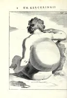 Picture 6 of 23 from Theodori Kerckringii doctoris medici spicilegium anatomicum : continens observationum anatomicarum rariorum centuriam unam : nec non osteogeniam foetuum : in qua quid cuique ossiculo singulis accedat mensibus : quidve decedat & in eo per varia immutetur tempora, accuratissimè oculis subjicitur (1670), leaf 44