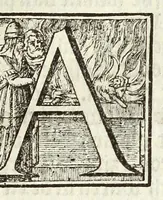 An illustration from Theod. Schreveli Harlemias, ofte, om beter te seggen, De eerste stichtinghe der stadt Haerlem : het toe-nemen en vergrootinge der selfden .. (1648)