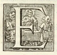 An illustration from Theod. Schreveli Harlemias, ofte, om beter te seggen, De eerste stichtinghe der stadt Haerlem : het toe-nemen en vergrootinge der selfden .. (1648)