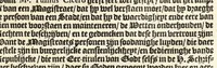 An illustration from Theod. Schreveli Harlemias, ofte, om beter te seggen, De eerste stichtinghe der stadt Haerlem : het toe-nemen en vergrootinge der selfden .. (1648)