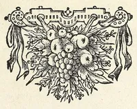 An illustration from Theod. Schreveli Harlemias, ofte, om beter te seggen, De eerste stichtinghe der stadt Haerlem : het toe-nemen en vergrootinge der selfden .. (1648)