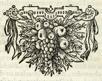 An illustration from Theod. Schreveli Harlemias, ofte, om beter te seggen, De eerste stichtinghe der stadt Haerlem : het toe-nemen en vergrootinge der selfden .. (1648)