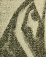 An illustration from Theophrastus Bombastus von Hohenheim called Paracelsus; his personality and influence as physician, chemist and reformer (1920)