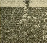 An illustration from Theophrastus Bombastus von Hohenheim called Paracelsus; his personality and influence as physician, chemist and reformer (1920)