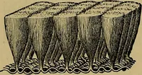 Picture 17 of 58 from The theory of color in its relation to art and art-industry (1876), leaf 103