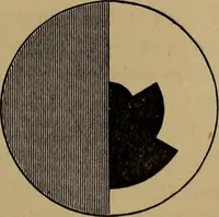 An illustration from The theory of color in its relation to art and art-industry (1876)