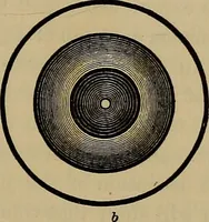 An illustration from The theory of color in its relation to art and art-industry (1876)