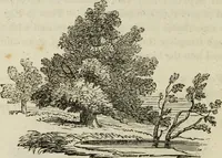 An illustration from The theory of effect : embracing the contrast of light and shade, of colour and harmony (1851)