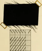 An illustration from Theory of silk weaving; a treatise on the construction and application of weaves, and decomposition and calculation of silk fabrics .. (1896)