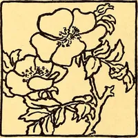 An illustration from Theory and practice of teaching art (1912)