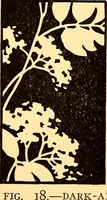 An illustration from Theory and practice of teaching art (1912)