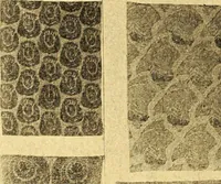 An illustration from Theory and practice of teaching art (1912)