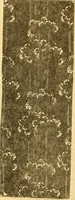 An illustration from Theory and practice of teaching art (1912)