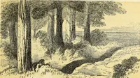 An illustration from The theory and practice of landscape painting in water-colours. Illustrated by a series of twenty-six drawings and diagrams in colours, and numerous woodcuts (1871)