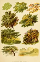 An illustration from The theory and practice of landscape painting in water-colours. Illustrated by a series of twenty-six drawings and diagrams in colours, and numerous woodcuts (1871)