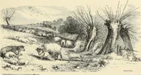 An illustration from The theory and practice of landscape painting in water-colours. Illustrated by a series of twenty-six drawings and diagrams in colours, and numerous woodcuts (1871)