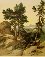 An illustration from The theory and practice of landscape painting in water-colours. Illustrated by a series of twenty-six drawings and diagrams in colours, and numerous woodcuts (1871)