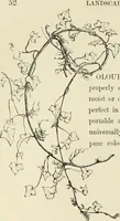 An illustration from The theory and practice of landscape painting in water-colours. Illustrated by a series of twenty-six drawings and diagrams in colours, and numerous woodcuts (1871)