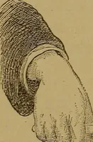 An illustration from Theory and practice of the electric telegraph; a manual for operators and students (1875)