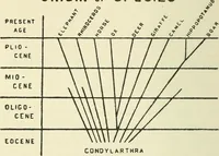 Picture 1 of 11 from Theosophy and modern thought : four lectures delivered at the thirty-ninth annual convention of the Theosophical Society, held at Adyar, Madras, December, 1914 (1915), leaf 15