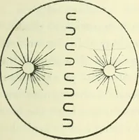 An illustration from Theosophy and modern thought : four lectures delivered at the thirty-ninth annual convention of the Theosophical Society, held at Adyar, Madras, December, 1914 (1915)