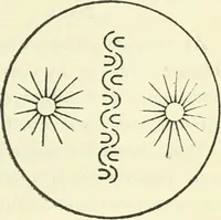 An illustration from Theosophy and modern thought : four lectures delivered at the thirty-ninth annual convention of the Theosophical Society, held at Adyar, Madras, December, 1914 (1915)