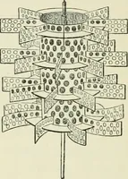 An illustration from The thermal measurement of energy. Lectures delivered at the Philosophical Hall, Leeds (1901)