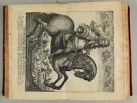 Picture 5 of 10 from Thesaurus exoticorum. : Oder eine mit aussländischen Raritäten und Geschichten wohlversehene Schatz-Kammer fürstellend die asiatische, africanische und americanische Nationes der Berser, Indianer, Sinesin, Tartaren, Egypter, Barbarn, Libyer, Nigriten, Guineer. Hottentotten, Abyssiner, Canadenser, Virgenier, Floridaner, Mexicaner, Peruaner, Chilenser, Magellanier und Brasilianer etc. Nach ihren königreichen, Policeyen, Kleydungen, Sitten und Gottes-Dienst. Darauff folget eine umständliche Beschreibung von Türckey: der Türcken Ankunfft; aller Sultanen Lebens-Lauff und Bildnüss; aller hohen Staats-Bedienten; des Sultans Hoff, Regierung, Intraden, Macht und Vasallen; wie auch ihres Propheten Mahomets Lebens-Beschreibung, und sein verfluchtes Gesetz-Buch oder Alkoran. Alssdann eine kürtzbündige Beschreibung von Ungarn: nach seiner grösse, Fruchtbarkeit, Macht, Städten und vielen Vestungen von Wien biss nach Constantinopel hinaus. Da es dann Gelegenheit gibt zu Reden von den 4 Monarchien, der Assyrer, Perser, Griechen und Römer: aller Käysern, von Nimrod an biss auff den grossen Leopoldum, und so dann von allen Hertzogen und Königen von Ungarn sampt ihren Rildnüssen. Hiernechst eine umbständliche Beschreibung des Lebens-Lauffs Ihrer Käyserl. Mayest. Leopoldi I. und des itzo annoch wehrenden bluthigen Türcken-Krieges, und was in demselben Denckwürdiges in Ungarn, Pohlen und Morea passiret. Alles mit grosser Mühe und Fleiss aus den berühmtesten Scribenten zusammen getragen, mit schönen Kupfern und Landkarten, auch andern Figuren in sehr grosser Anzahl (1688), leaf 397