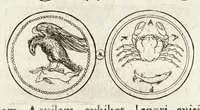 Picture 22 of 65 from Thesaurus ex Thesauro Palatino selectus, sive, Gemmarum et numismatum quae in electorali cimeliarchio continentur elegantiorum aere expressa, et convenienti commentario illustrata dispositio (1685), leaf 239